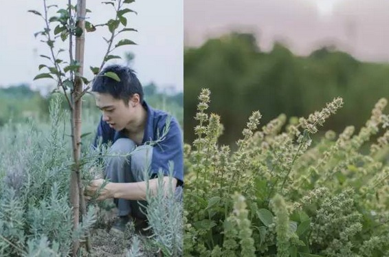 钢琴十级的他，把日子过成了一首田园诗