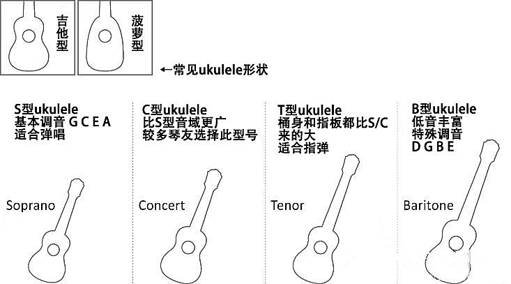 尤克里里型号.jpg