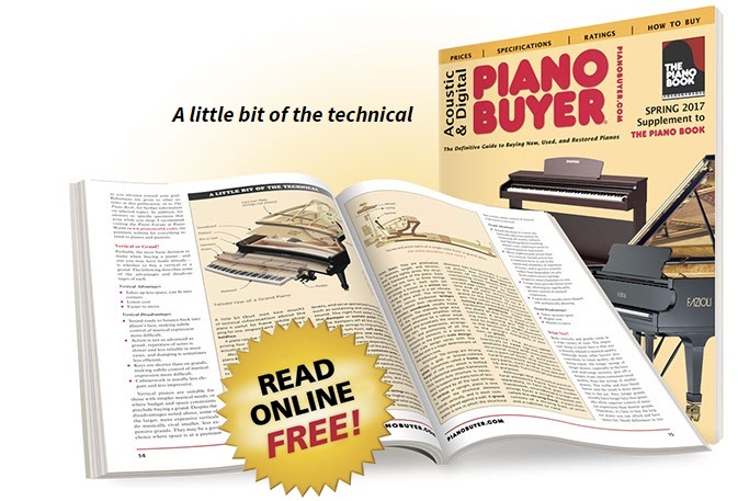 The Piano Book